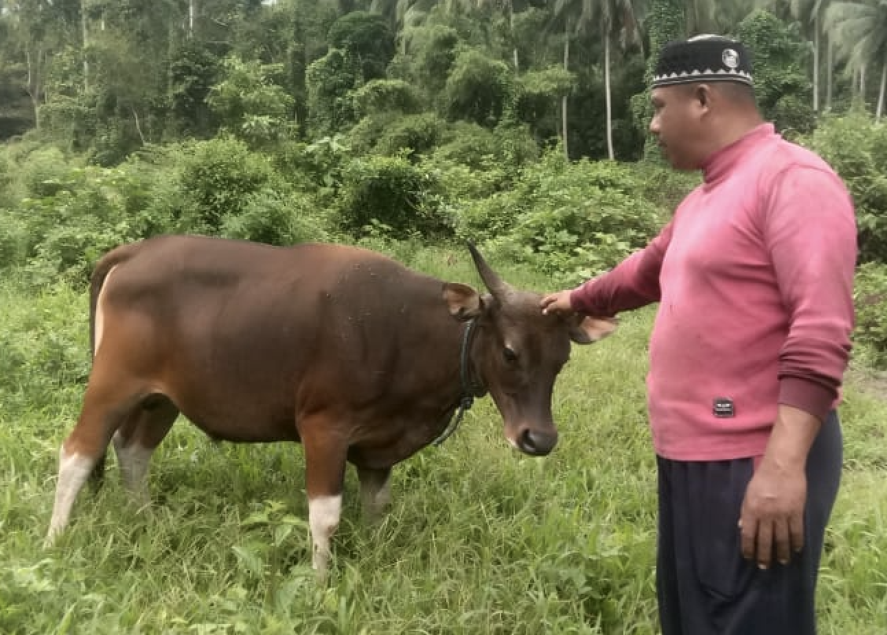 Qurbani 2025, 1446 AH